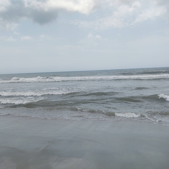 Meet your Posher, Curtis - Picture 3 of 4